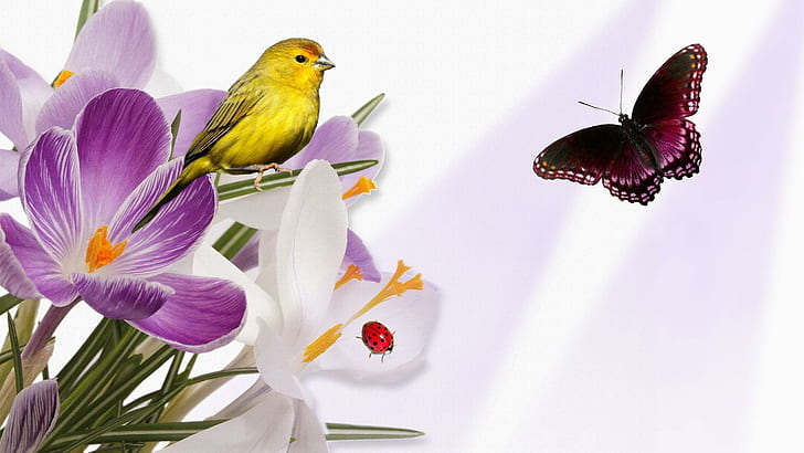 Purple Flowers Yellow Bird, ladybug on orchid, bird and butterfly wallpaper