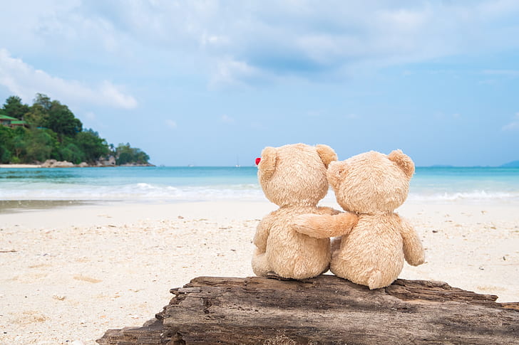 sand, sea, beach, love, toy, bear, pair, Board, two, romantic, HD wallpaper
