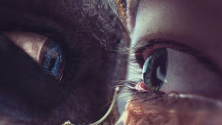 surreal, abstract, photo manipulation, eye, one animal, close-up, HD wallpaper