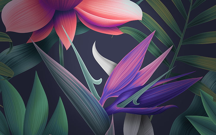 huawei mate 10 stock, colorful flowers, digital art, beauty in nature HD wallpaper