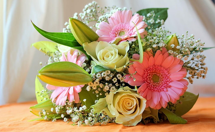 white roses, baby's breath, and pink Gerbera daisy flowers, gypsophila