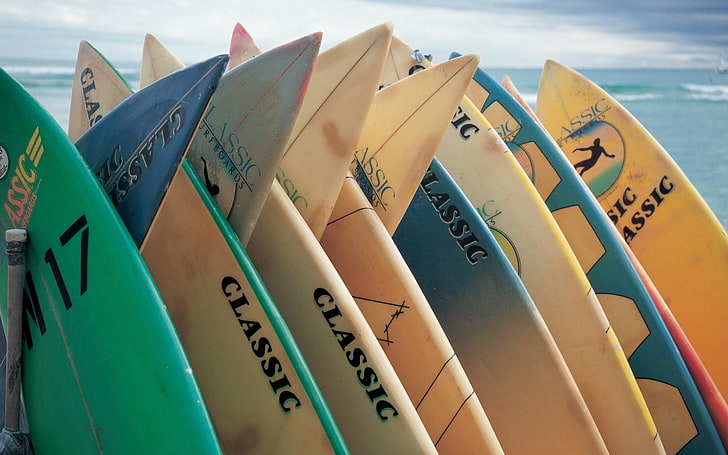 assorted-color surfboard lot, surfing, sea, sport, extreme, business, HD wallpaper