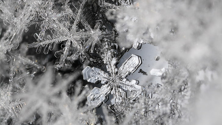 clear snowflake, ice, macro, close-up, winter, cold temperature, HD wallpaper