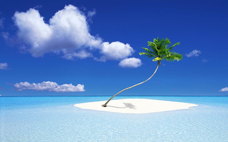 A Palm Tree Island, summer, sun, water, sea, ocean