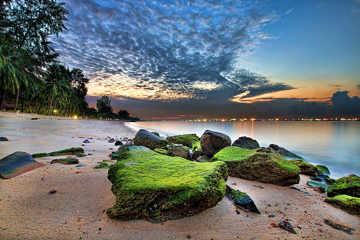 beach, palm trees, sand, sea, clouds, Singapore, rock, nature, HD wallpaper