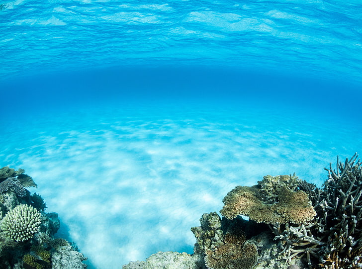 Underwater, Summer, body of water, Travel, Islands, Earth, Ocean, HD wallpaper