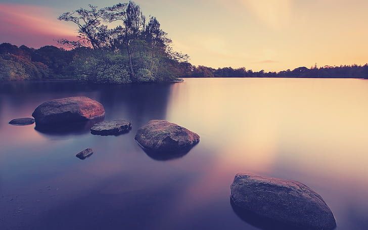 water, sunset, trees, forest, rock, nature