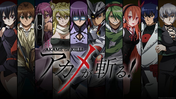 Akame ga Kill! (Akame, Tatsumi, Mine, Leone, Sheele, Bulat