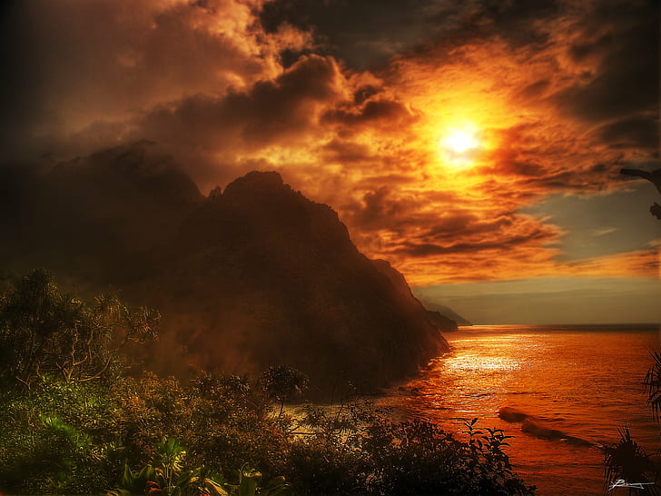 green tree golden hour, journey home, kauai  hawaii, dreamworld, HD wallpaper
