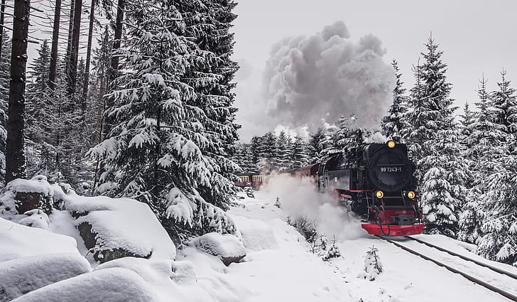 vehicle, Steam Train, winter, Harz