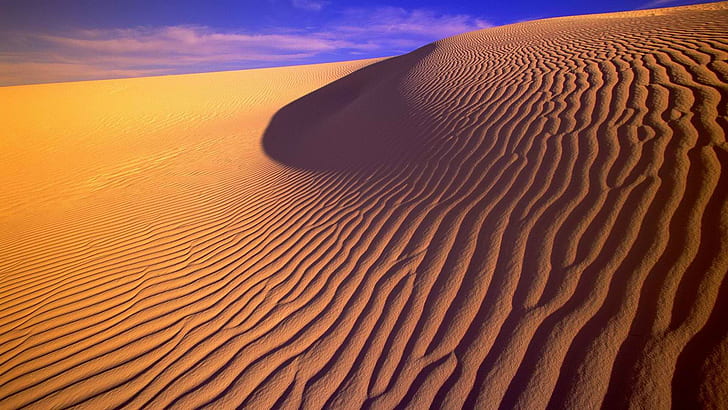 HD wallpaper: Desert Dune HD, sand dunes, nature | Wallpaper Flare