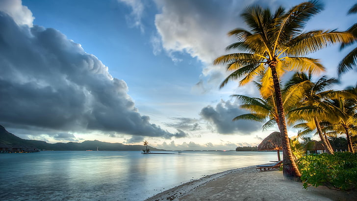 bora bora, beach, shore, ocean, exotic, palms, clouds, water, HD wallpaper