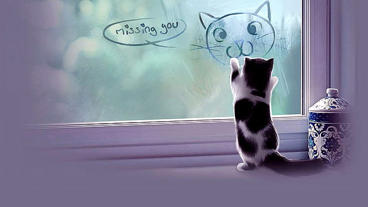 cat, kitten, window, fog, miss you, missing you, foggy, write, HD wallpaper