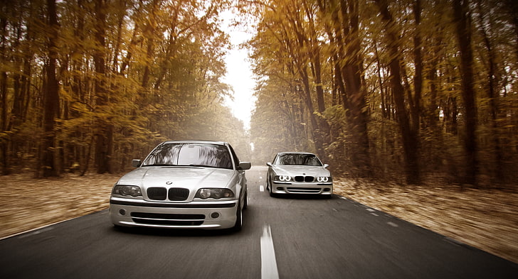two silver cars, road, autumn, forest, lights, speed, BMW, E46