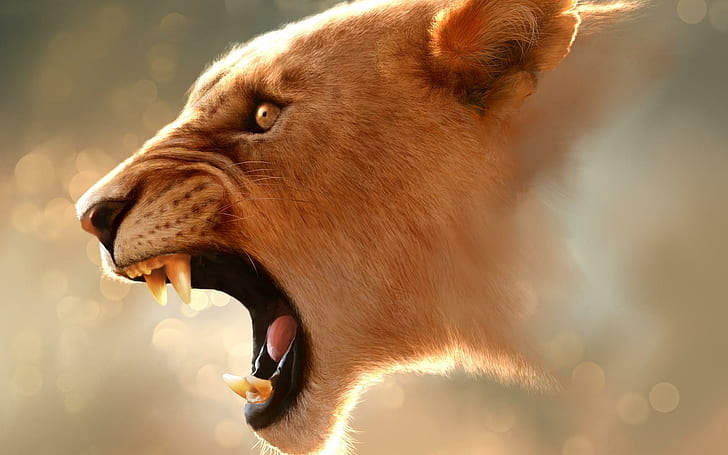 Angry, wild, animal, fast, animals, HD wallpaper