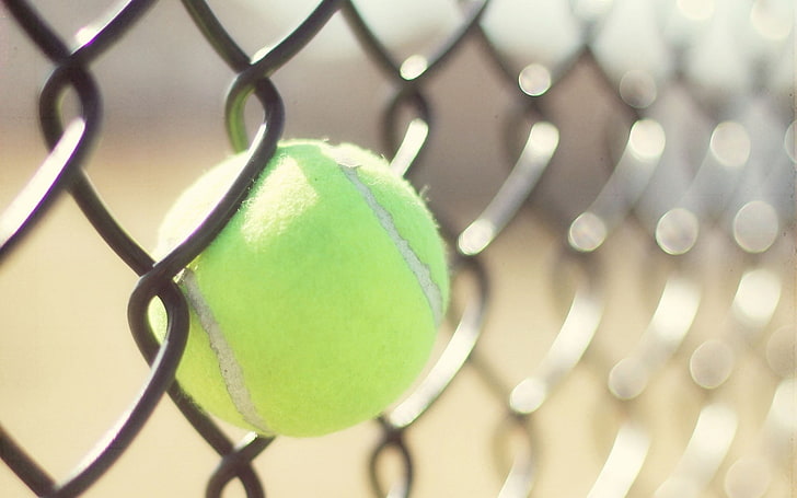 sport, tennis, ball, tennis balls, fence, depth of field, sunlight, HD wallpaper