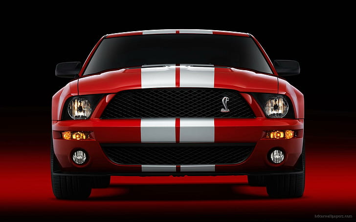 Hd Wallpaper Shelby Cobra Gt500 Mustang 6 Red And White Car Cars Ford Wallpaper Flare