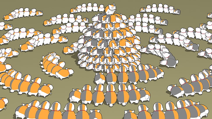 photo of group of orange-white-and-gray hamsters digital wallpaper