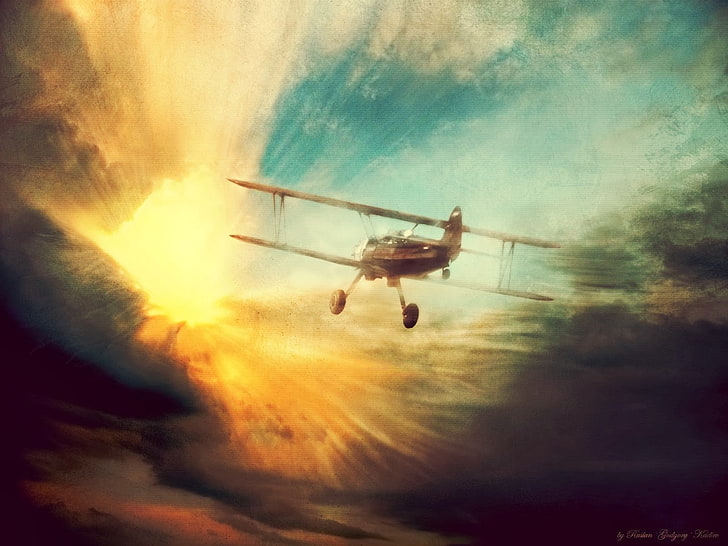 airplane, aircraft, sky, vehicle, cloud - sky, transportation, HD wallpaper