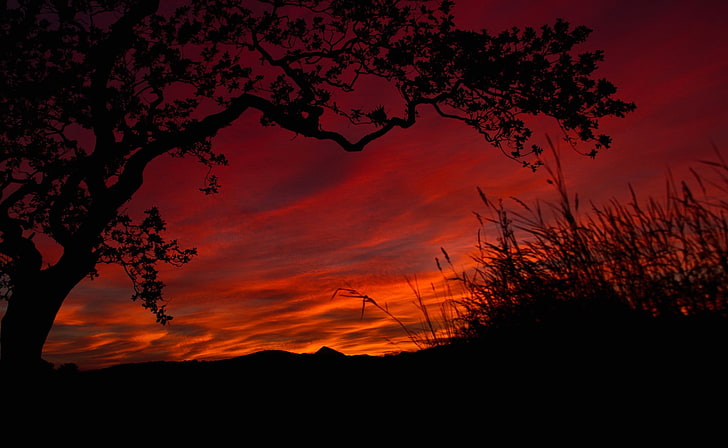 landscape, silhouette, sunset, sky, beauty in nature, orange color, HD wallpaper