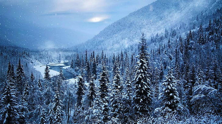 nature, landscape, mist, forest, mountains, river, snow, winter