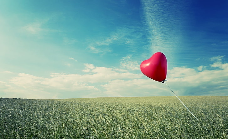 HD wallpaper: Alone Heart Flying, red heart balloon, Love, field, sky, land  | Wallpaper Flare
