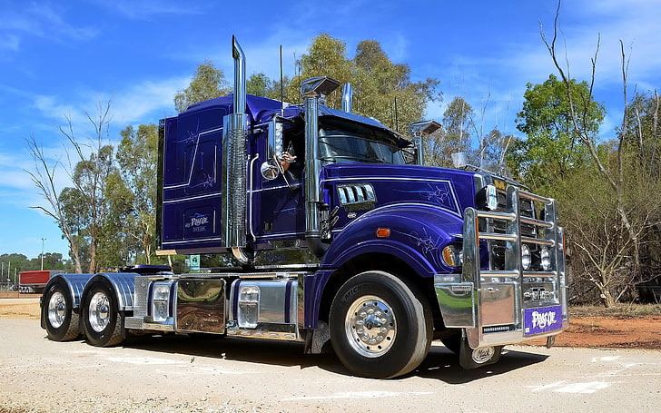 HD wallpaper: blue semi truck, road, the sky, trucks, Mack