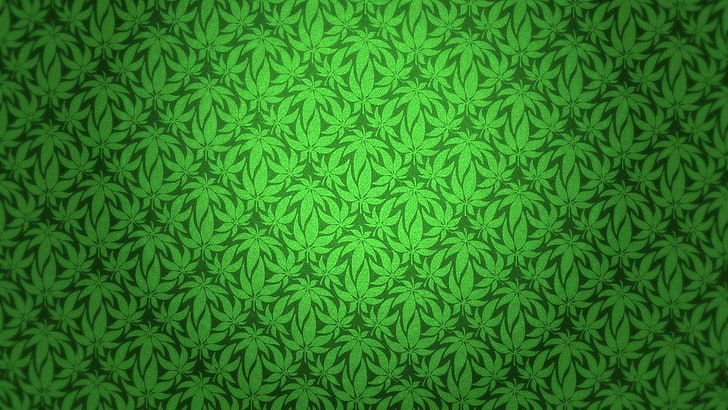 420, cannabis, drug, drugs, marijuana, nature, plant, psychedelic, HD wallpaper