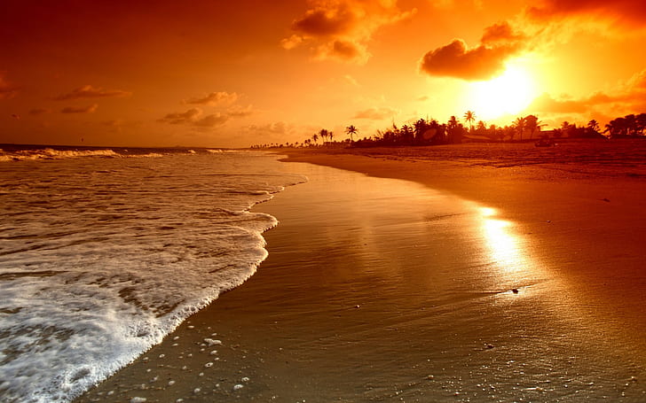Sunrise Palms Sea Beautiful Nature Landscape Water Sky Clouds Scene Waves Beach Sunset 1920×1200