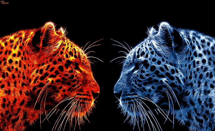 Fire Leopard vs Ice Leopard, two red and blue cheetahs, Aero, HD wallpaper