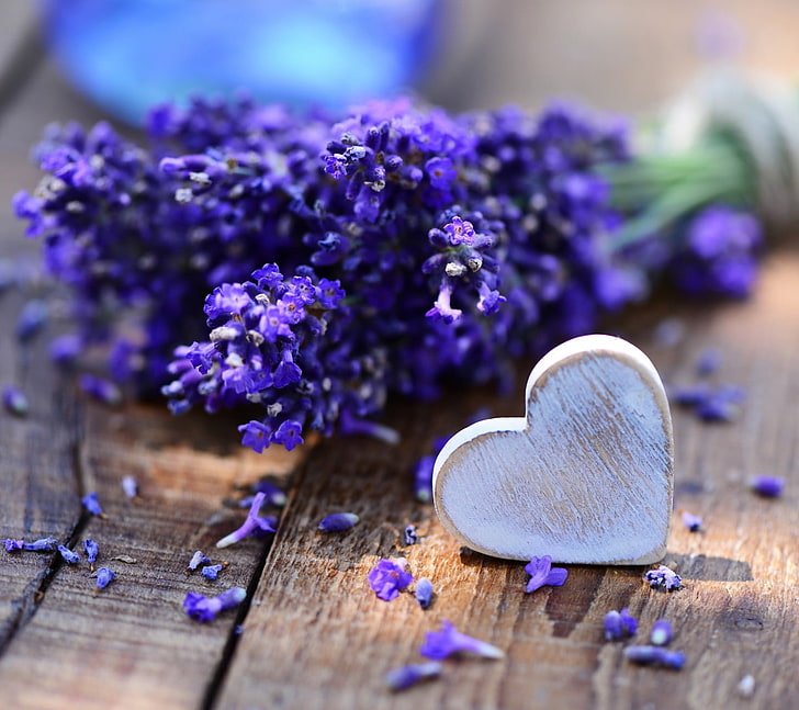 purple petaled flower and white wooden heart decor, flowers, lavender