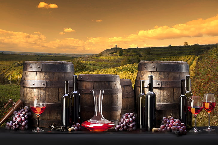 wine, grapes, bottle, barrels, the vineyards