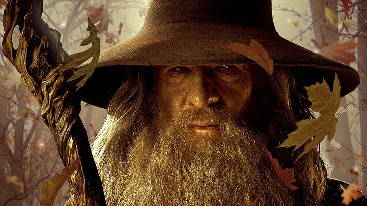 The Lord Of The Rings character wallpaper, Gandalf, Ian McKellen
