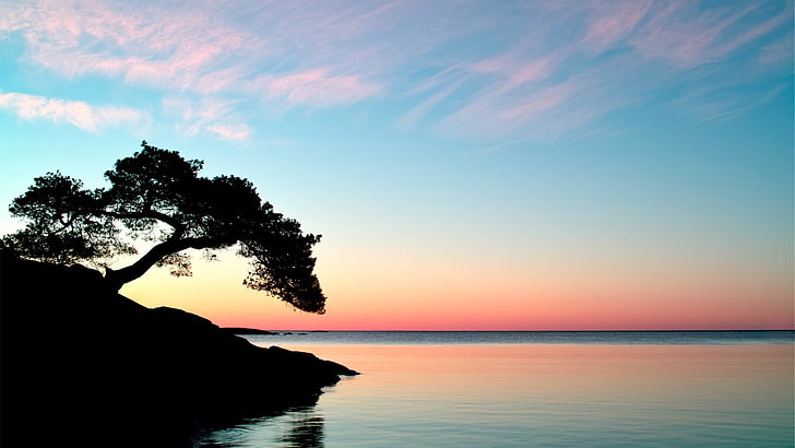 silhouette of tree, sunset, sky, trees, horizon, water, sea, tranquility, HD wallpaper