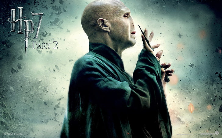 Harry Potter Hermione Voldemort Hp7 Part 2 Entertainment Movies HD Art