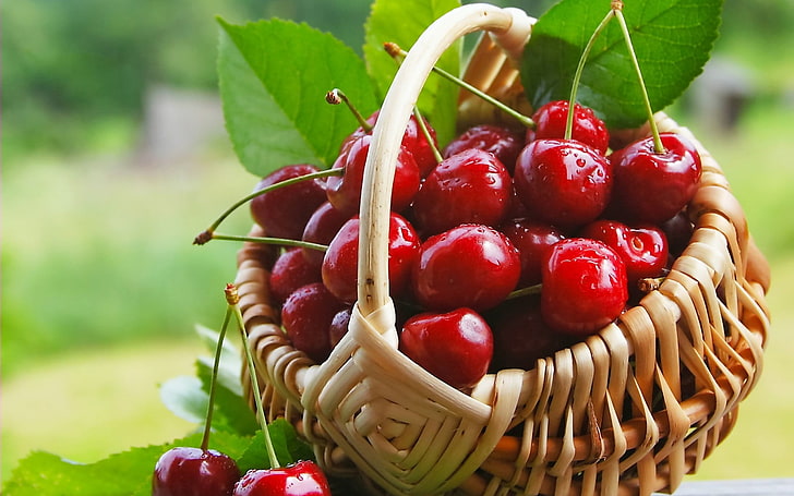 cherries, food, fruit, baskets, cherries (food), food and drink, HD wallpaper