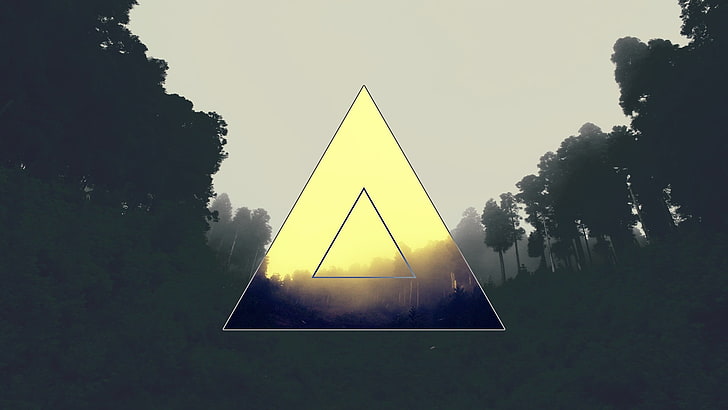 triangle logo, forest, polyscape, tree, plant, triangle shape, HD wallpaper