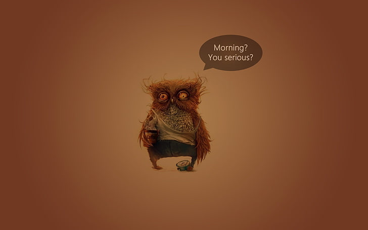 owl clip art with text overlay, humor, coffee, indoors, communication, HD wallpaper