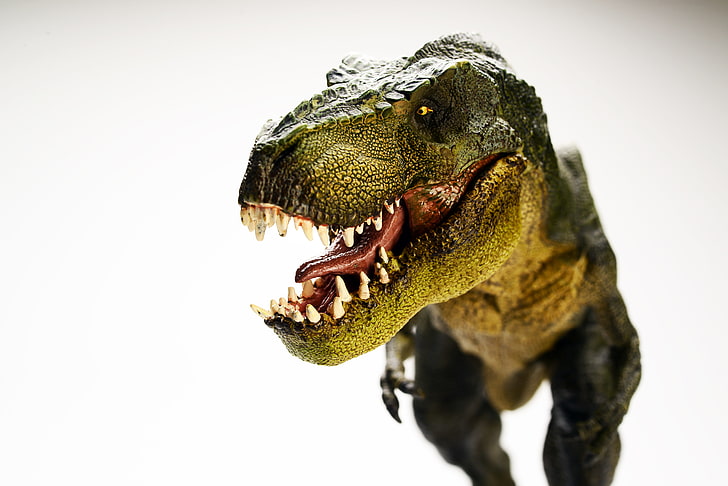 T Rex, Tyrannosaurus, 5K, Dinosaur, HD wallpaper