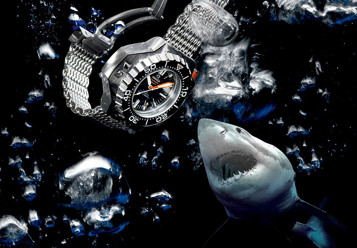 round silver-colored analog watch, water, shark, Omega, Seamaster