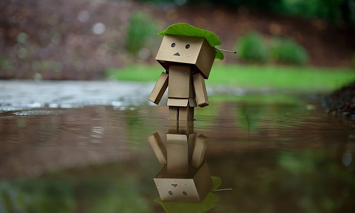 Amazon, Danbo, day, water, focus on foreground, no people, nature, HD wallpaper