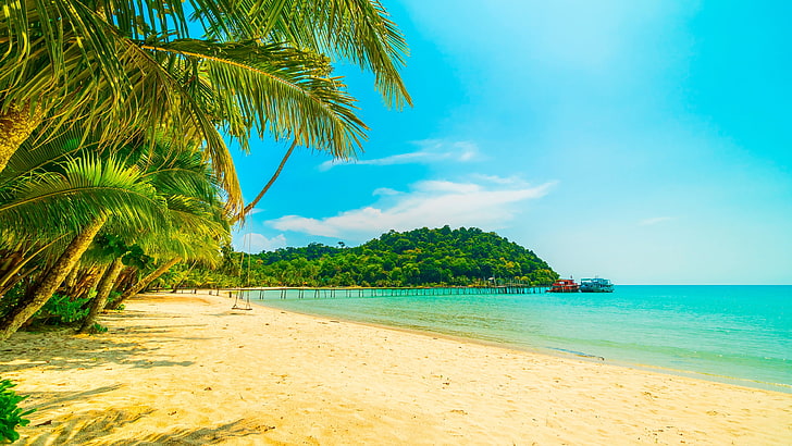 tropical beach, exotic, tropics, sandy beach, sky, palm, sea, HD wallpaper