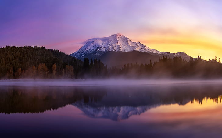 USA, California, mount Shasta, lake, morning, fog