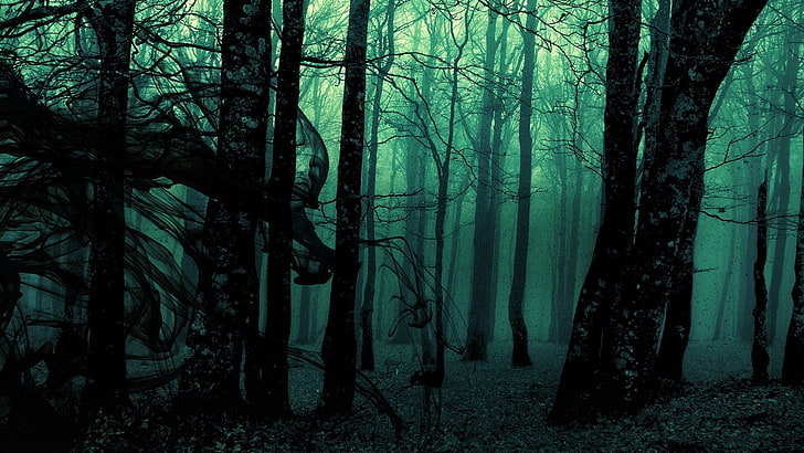 HD wallpaper: Dark, forest, Green, Trees | Wallpaper Flare