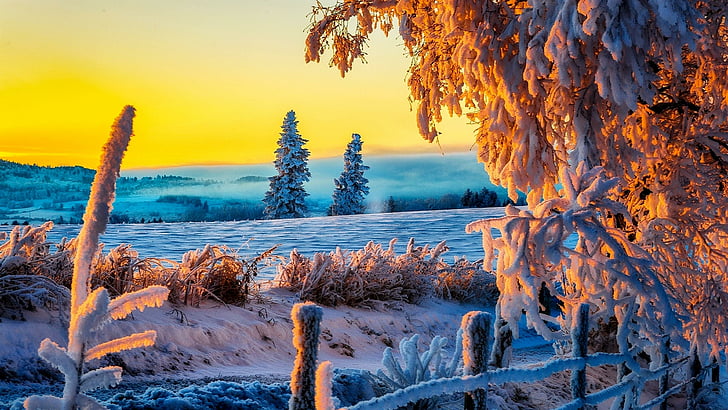 sky, sunset, snow, cold, landscape, frost, winter, trees, snowy, HD wallpaper