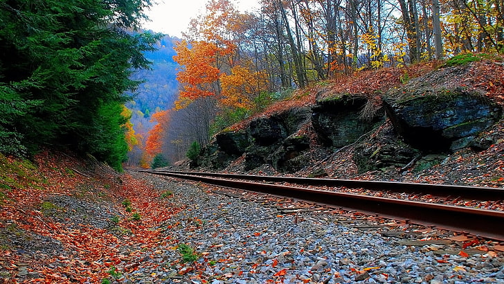 brown train rail, railway, landscape, trees, rock, forest, autumn
