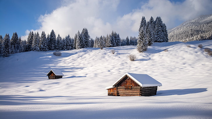 snow, winter, sky, cloud, freezing, pine, mountain, tree, arctic, HD wallpaper
