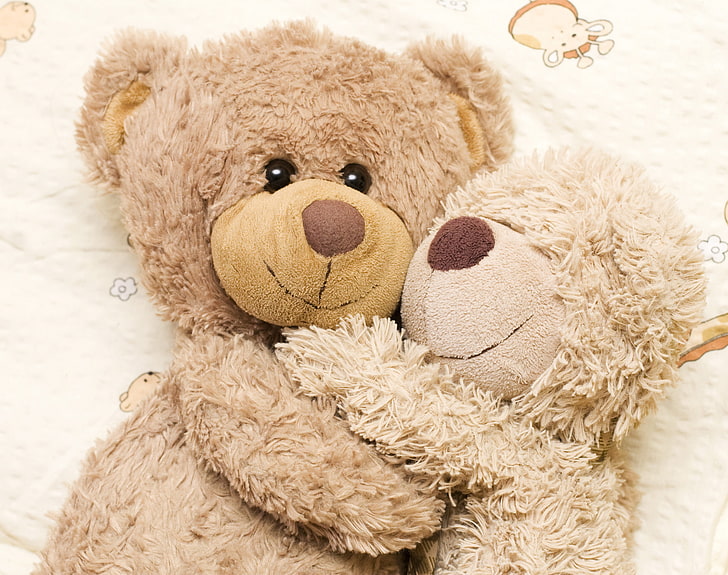 two brown bears plush toys, teddy bears, hugging, love, fluffy