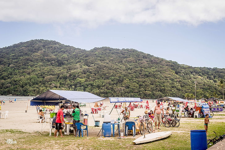 gua, barco, beach, bertioga, boat, brazil, calor, coconut tree, HD wallpaper