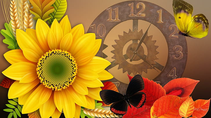 Time For Fall, clock, fleur, flower, papillon, leaves, butterfly, HD wallpaper